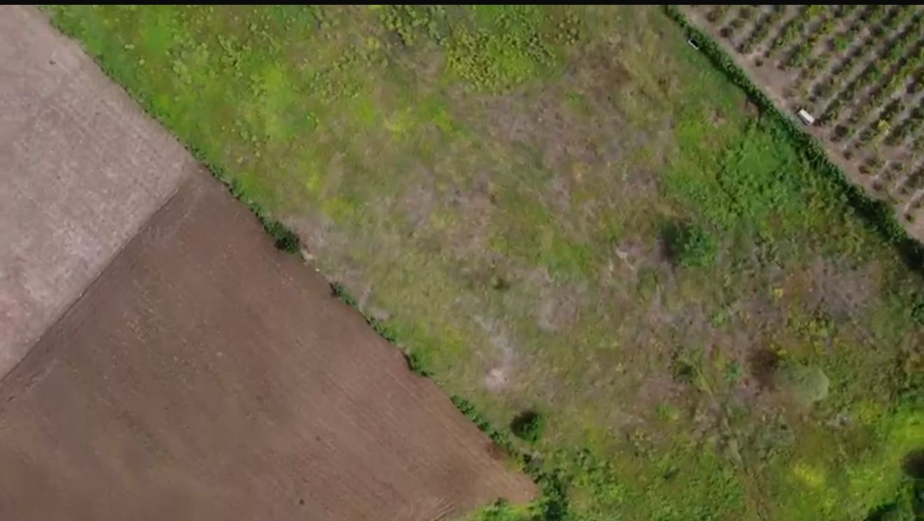 5 hectáreas de terreno