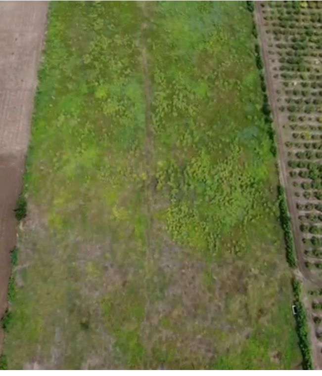 5 hectáreas de terreno